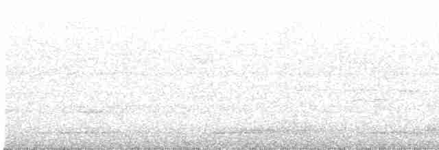 White-cheeked Barbet - ML276985231