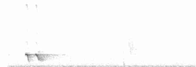 White-eared Honeyeater - ML276991081