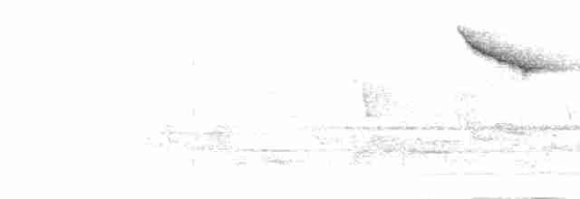 Batılı Miombo Nektarkuşu - ML277112