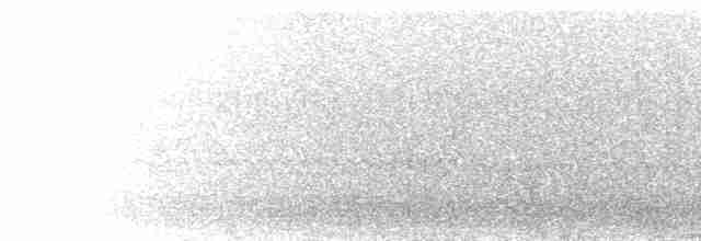 Hirondelle à croupion gris - ML277151