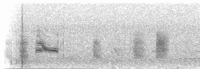 Hirondelle à croupion gris - ML277152
