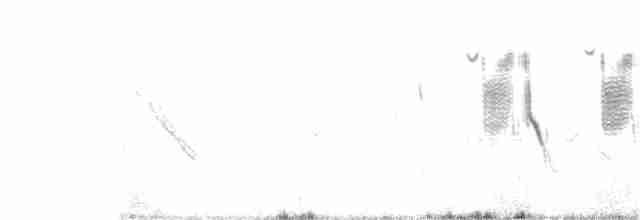 Band-tailed Sierra Finch - ML277190001