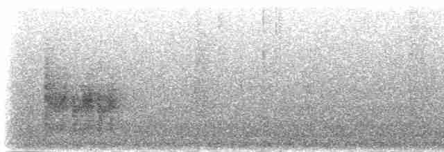 Синиця рудочерева (підвид rufiventris/masukuensis) - ML277200