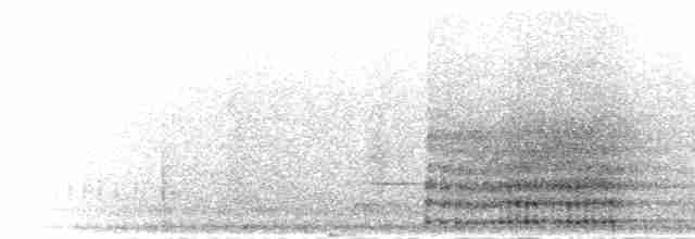 svartkronebrednebb - ML277218
