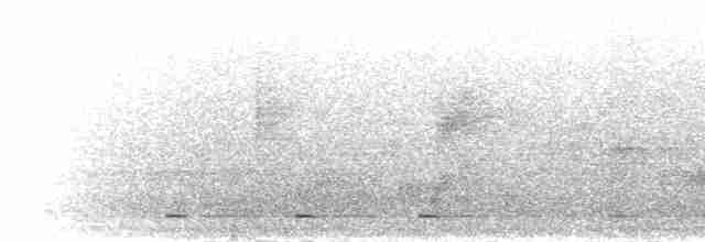 svartpannebuskvarsler - ML277224