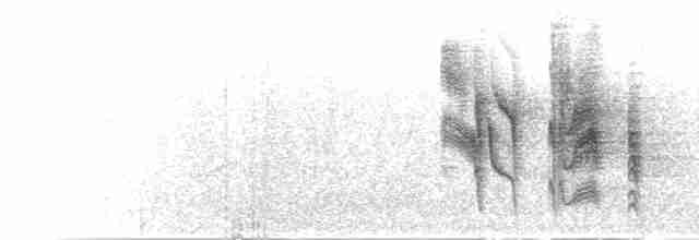 チャムネガラ（rufiventris／masukuensis） - ML277233
