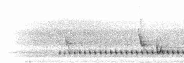 Хохлатая чубатка - ML277247
