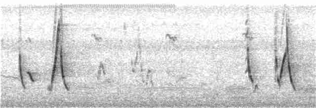 Щетинистая долгохвостка - ML277253081