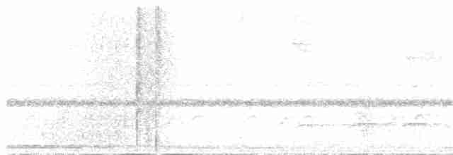 Тиран-інка буроголовий - ML277254831