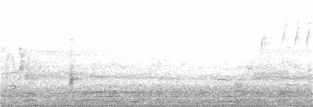 Гракл пурпуровошиїй (підвид versicolor) - ML27725681