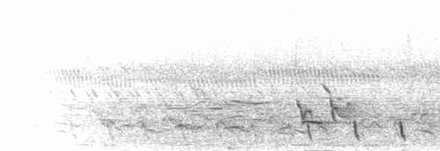 Дрімлюга болотяний - ML277297