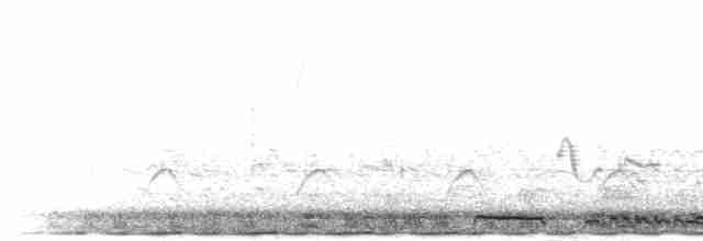 turako rudokorunkatý - ML277305