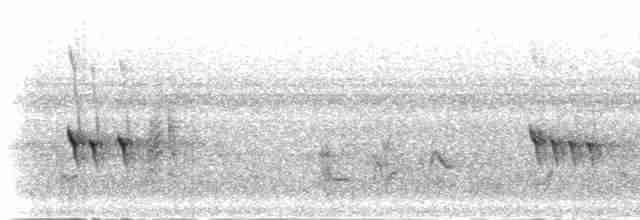 Gray-headed Kingfisher - ML277324