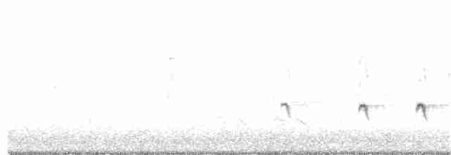 Chaparralgrasmücke - ML277344331