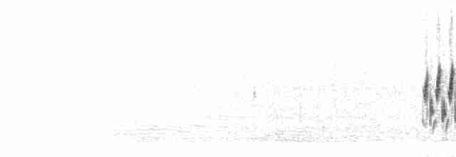 Большая цистикола (nuchalis/awemba) - ML277349