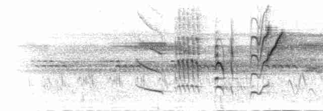 Papirus Sinekkapanı - ML277365