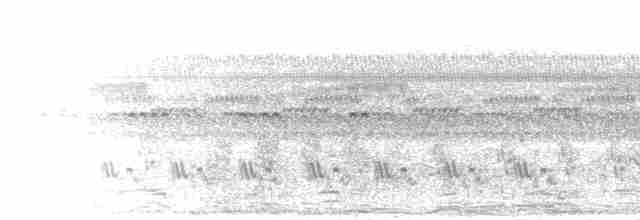 Мухоловка болотяна - ML277371