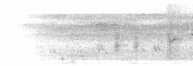 Мухоловка болотяна - ML277373