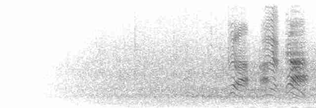 Hartlaubdrosselhäherling - ML277409