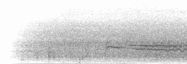luňák hnědý (ssp. aegyptius/parasitus) - ML277456