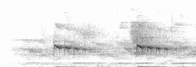 Светлобрюхий зимородок - ML277496