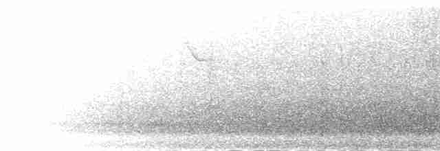 ub. fugl (Aves sp.) - ML277577