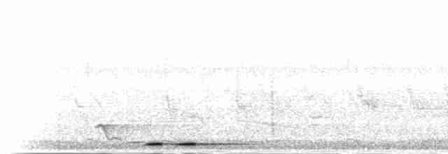 Одуд євразійський (підвид africana) - ML277587