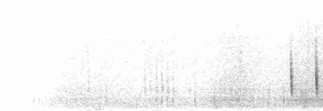 Layardgrasmücke - ML277681