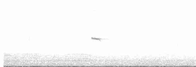 Common Chiffchaff (Siberian) - ML277720721