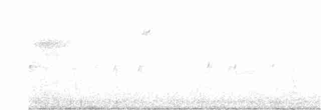 צלוב-מקור (צפון-מזרחי או טיפוס 12) - ML277728521