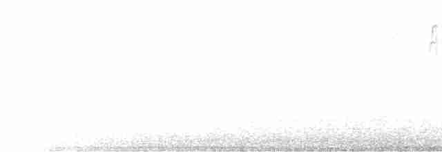 Пестрогрудая овсянка (Лисья) - ML277728531