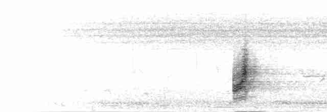 White-tailed Shrike - ML277808
