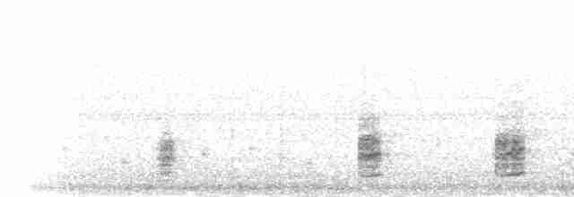 Белокрылый корхан - ML277930