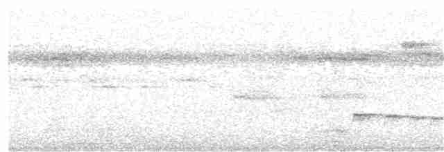 Сероголовая пиприта - ML278083921