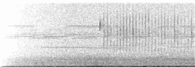 Sichelschwingen-Nachtschwalbe - ML278098981