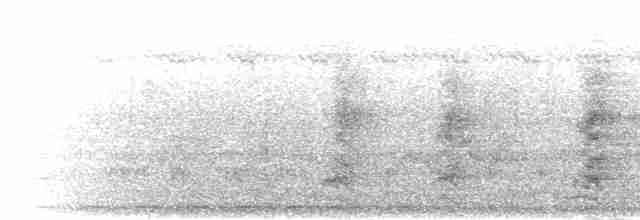 Hartlaubdrosselhäherling - ML278120