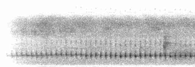 Хохлатая чубатка - ML278144