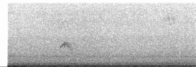Evening Grosbeak (type 3) - ML278157811