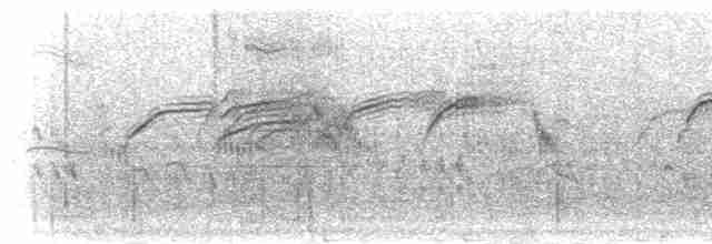 ヨーロッパアマツバメ - ML278174
