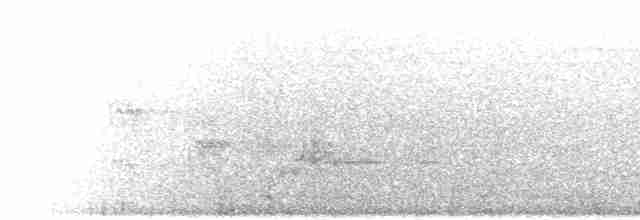 Irrisor damara (damarensis) - ML278180