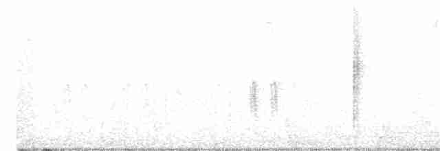 křivka bělokřídlá - ML278180961