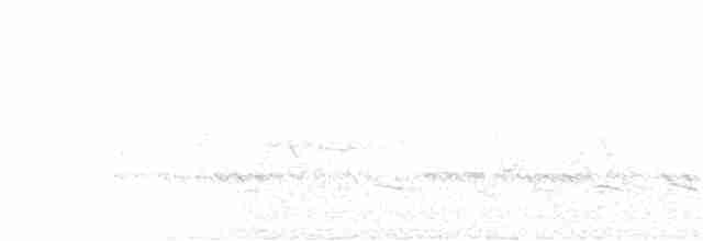 Weißbrauen-Ameisenpitta - ML278184131