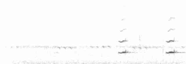 Белобровый торорой - ML278185091