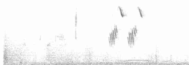 Five-striped Sparrow - ML27823101