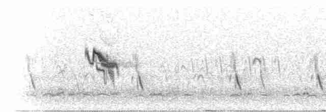 アフリカヒメコウテンシ - ML278263