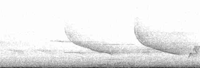 "Желтокрылая x Голубокрылая червеедка (гибрид, Lawrence's)" - ML27828411