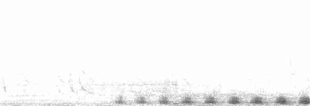 holub skvrnitý - ML27830381
