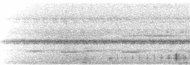 Scissor-tailed Nightjar - ML278305421
