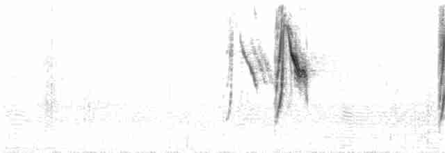 konipas luční (ssp. feldegg) - ML27831181