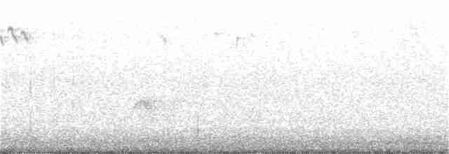 Evening Grosbeak (type 3) - ML278327451